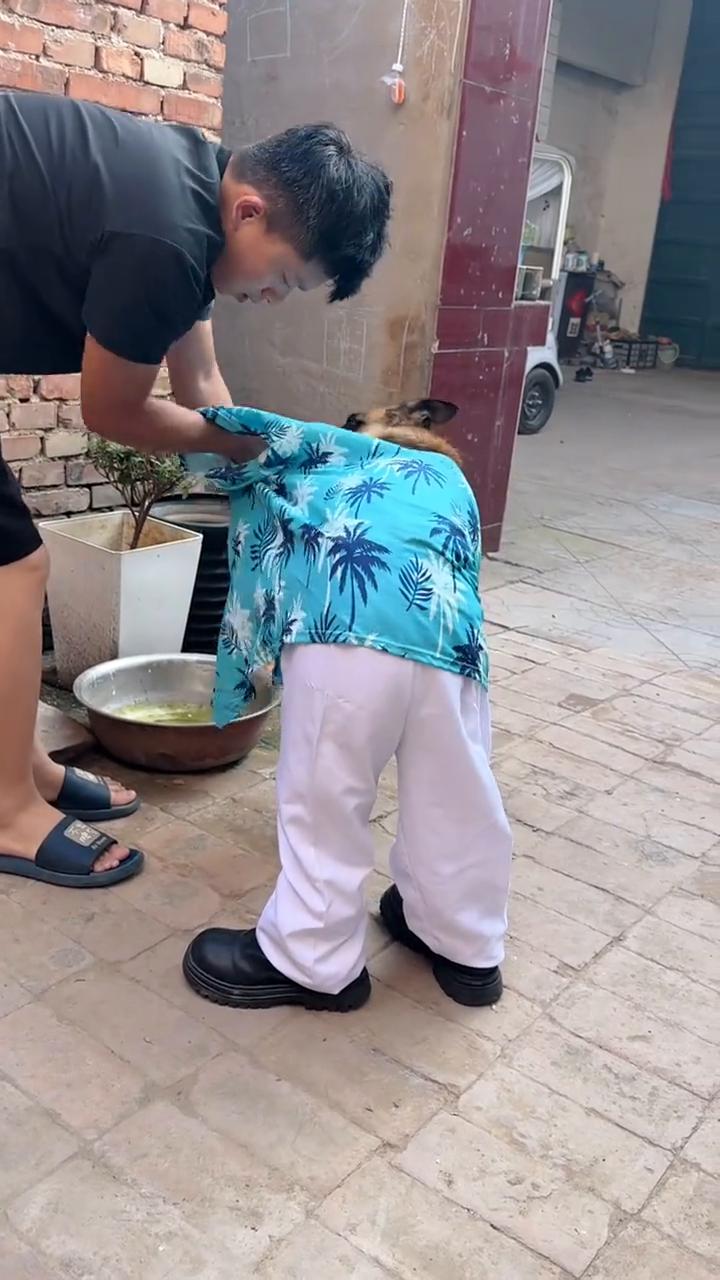 哈哈哈。