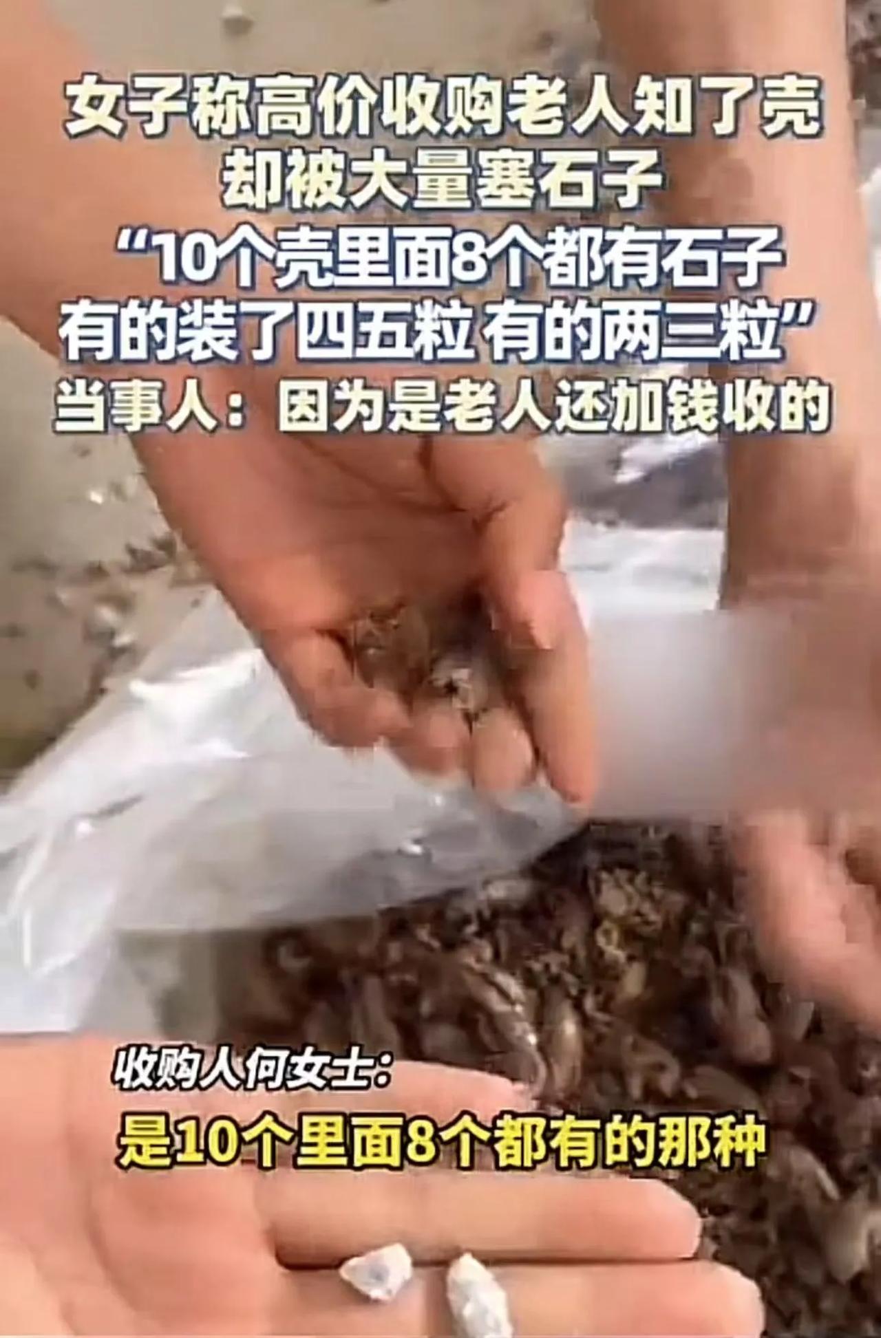 “不是所有老人都值得同情的！”陕西铜川，女子看老人可怜，高价收购他的知了壳，结果