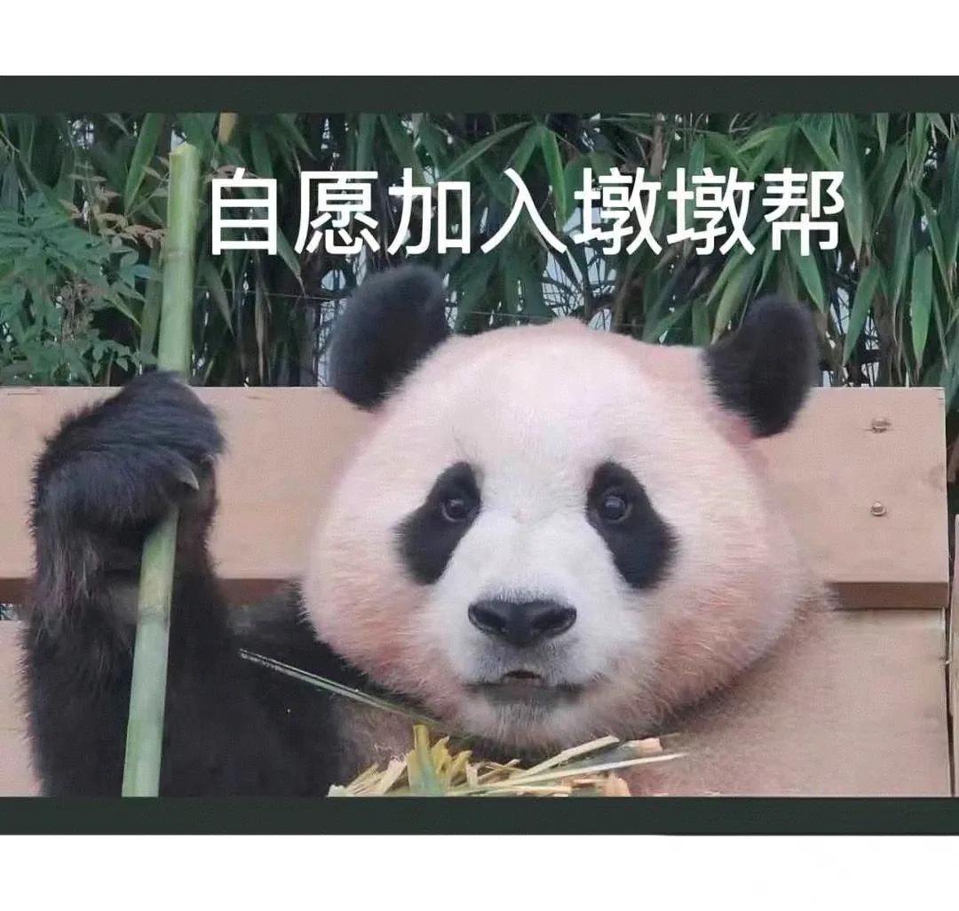 今天能见到可爱猪猪了
好消息接踵而至
希望你能否极泰来[加油加油][加油加油][