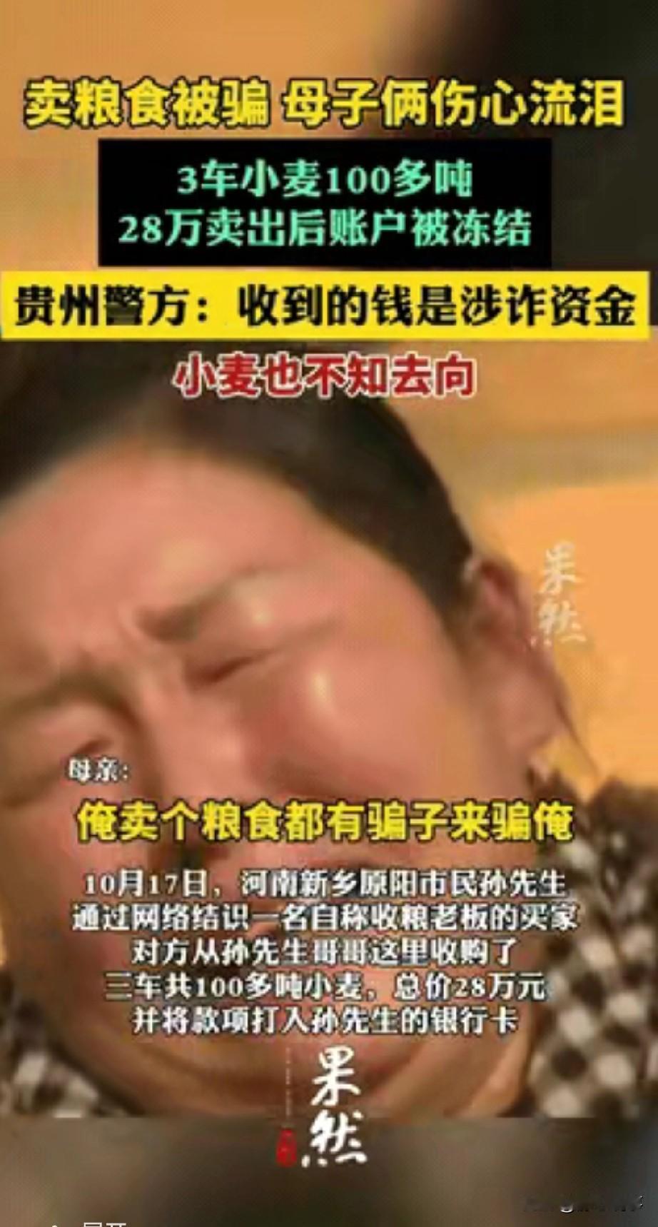 河南新乡一对母子，忙了大半年收的3车小麦共100多吨，通过网上认识的“收粮老板”