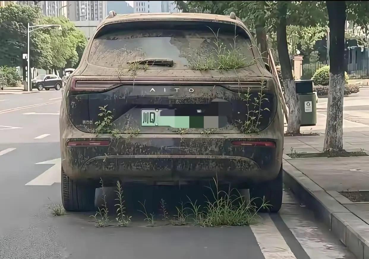 这车是大款的，还是富豪的？没人要了，就这样放弃它，不想要了？
车上车下车缝儿里都