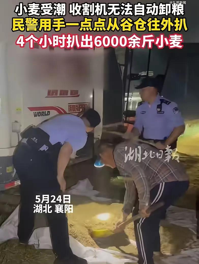 这才是真真正正的为人民服务啊！湖北襄阳那边，有个留守老人，蹲在地头直犯愁。为啥？