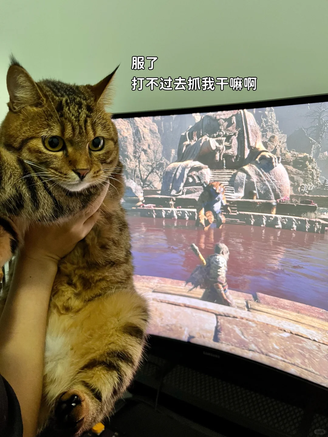 就你叫虎先锋啊