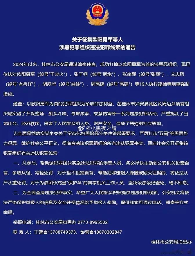 这么庞大的黑恶势力能够在天网恢恢的桂林发展壮大可见犯罪分子的组织严密，隐蔽性极强