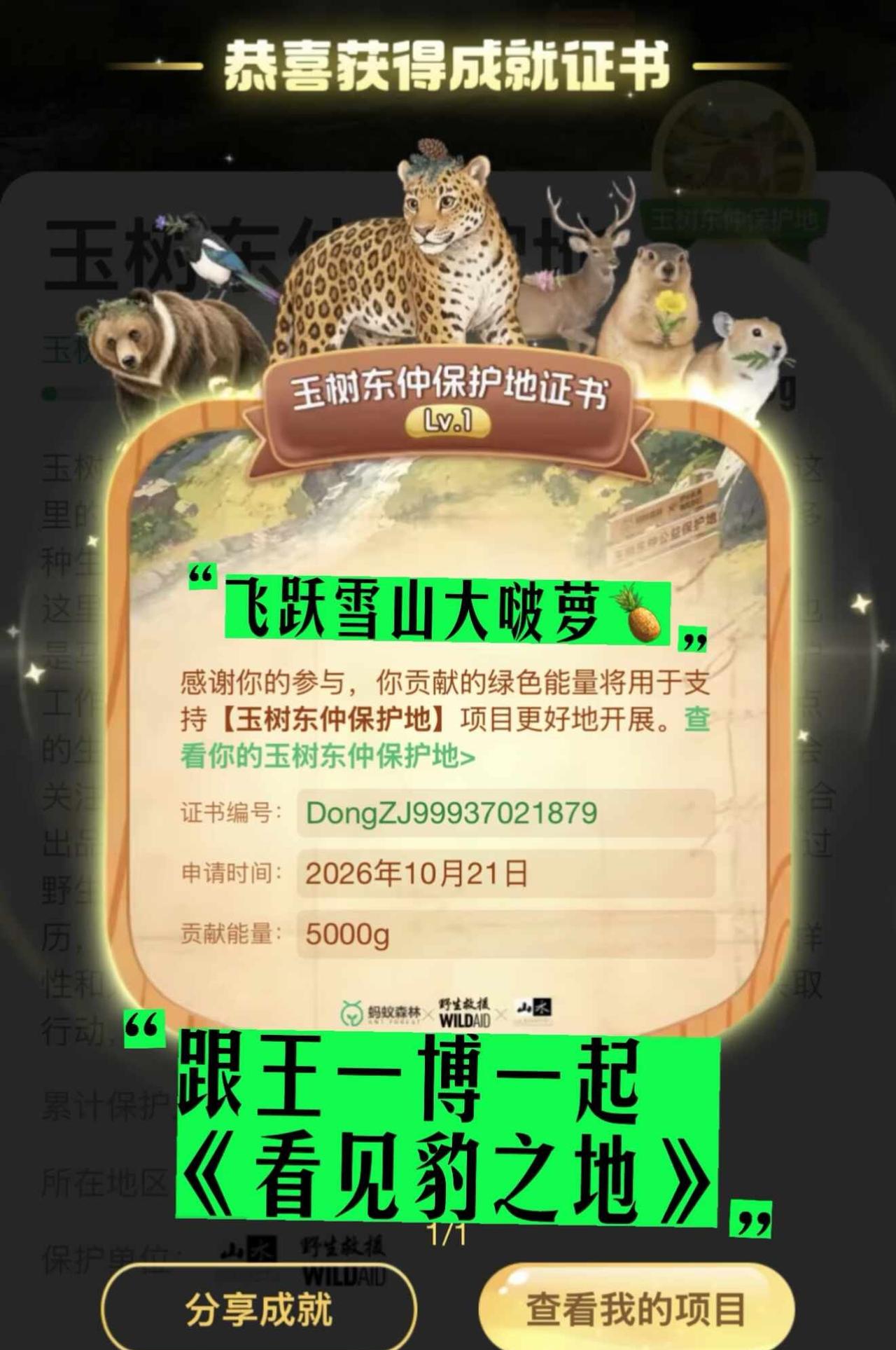 第一次玩💚24号期待王一博《看见豹之地》
王一博 王一博看见豹之地 寻护者2看