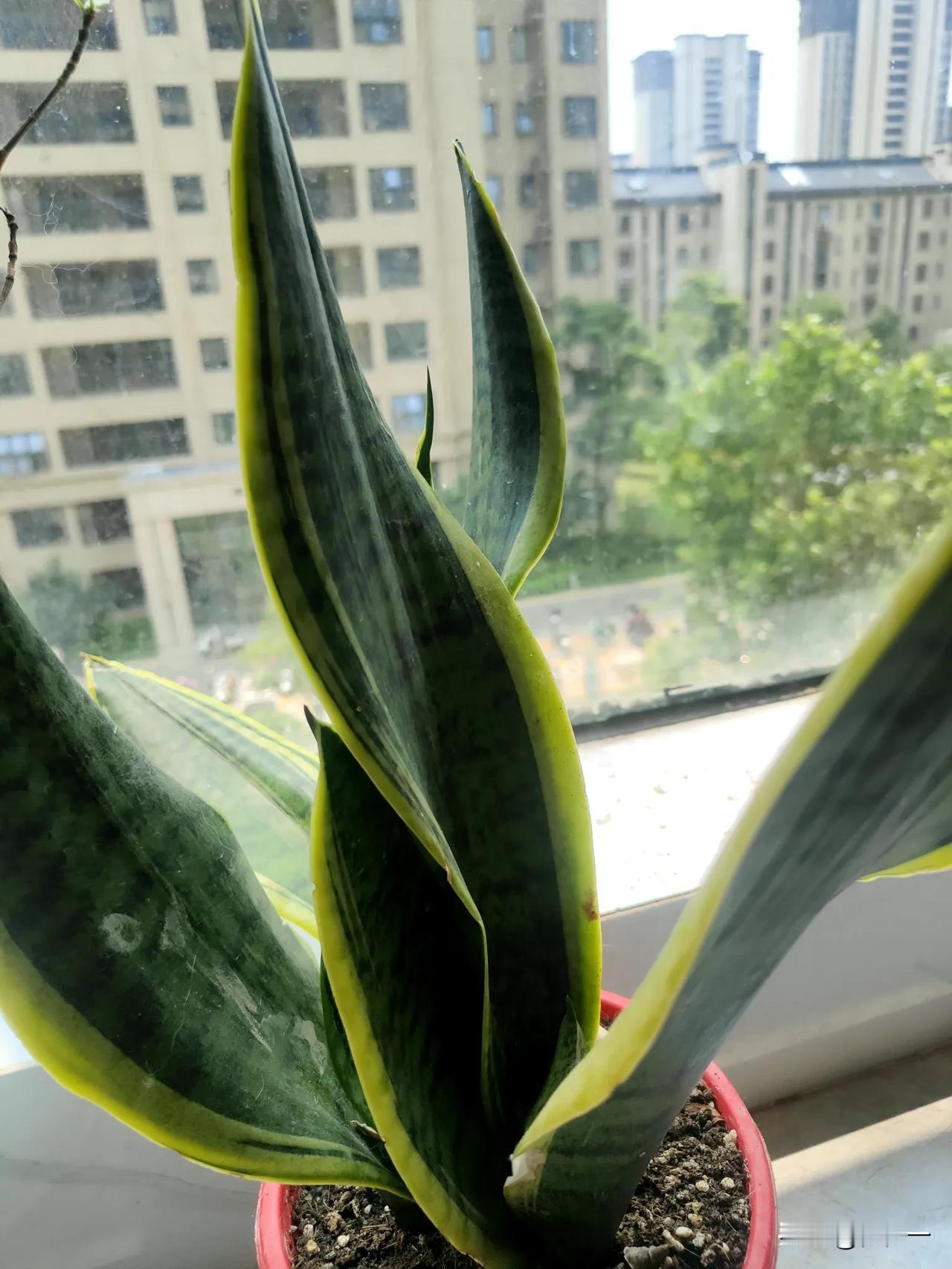 不知道是不是因为上了年纪，现在的自己，算不上社恐，也不是高傲，但就是不想社交，也