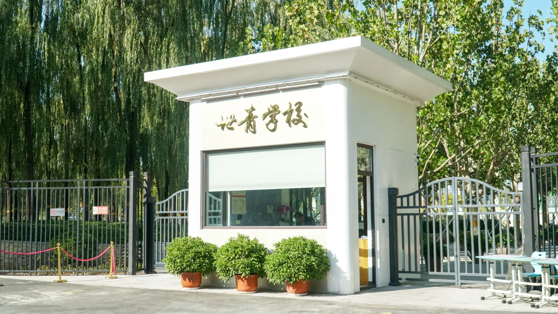 有藤校！世青2024届录取结果公布