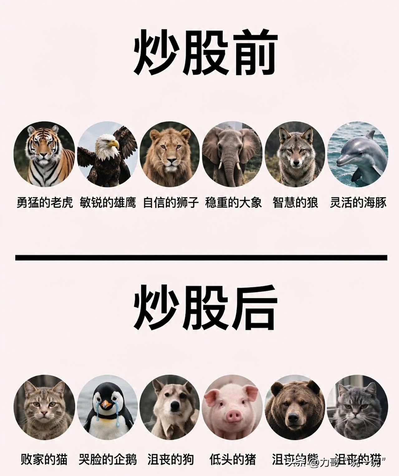 炒股前跟炒股后的我！