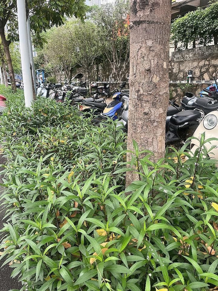 世界上很多东西
可以靠努力争取
唯独拥有一个
有情有义的
爱人和朋友
需要一些运