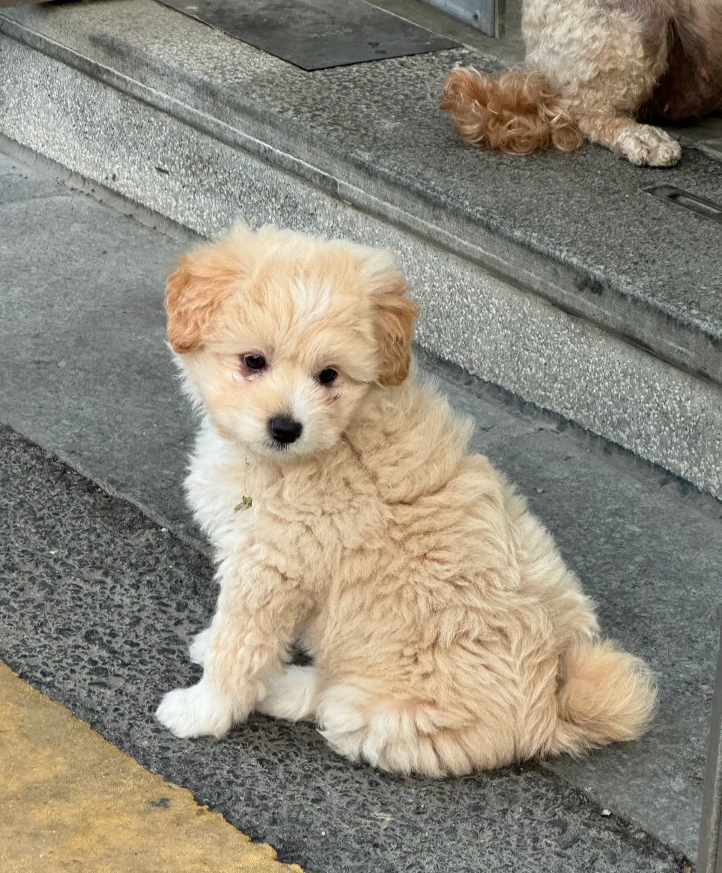 今天过得开心吗，我很开心 