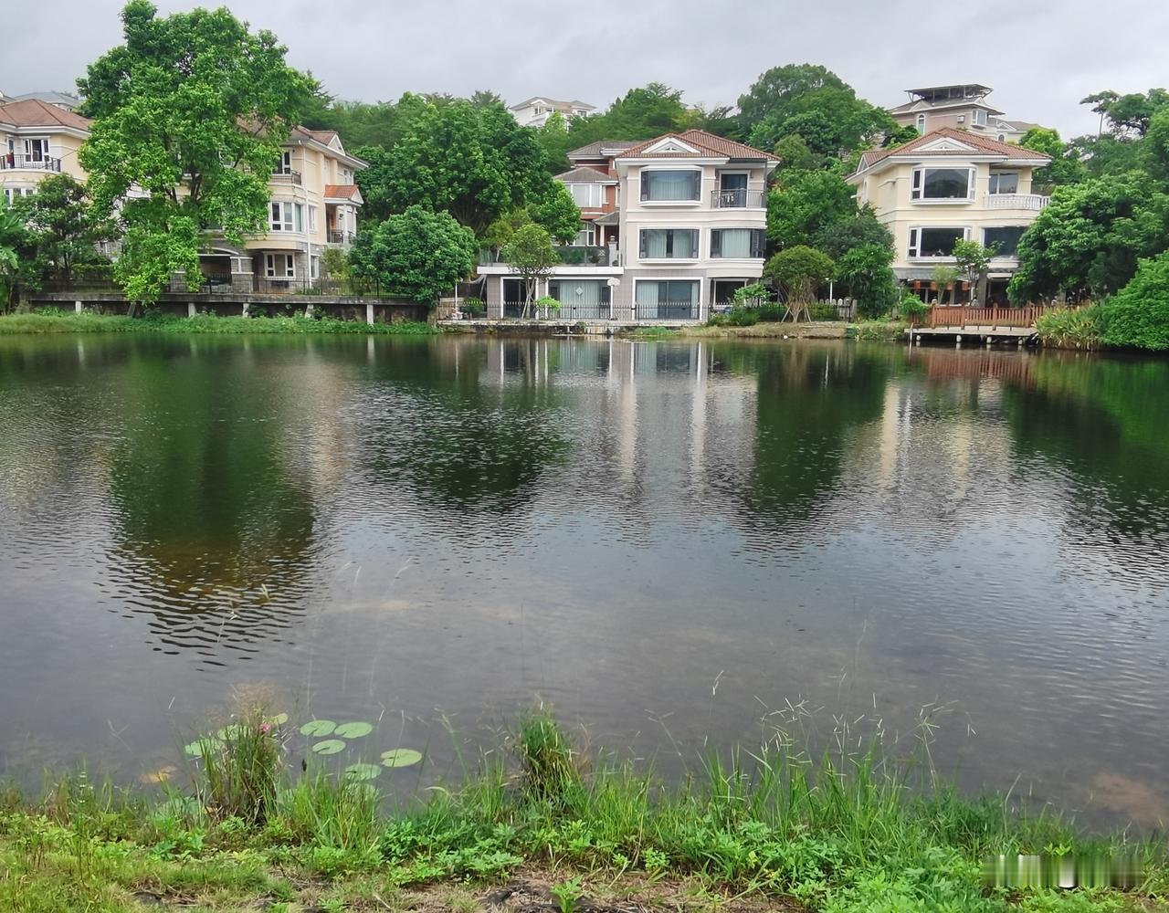 阅读分享：
        今日感悟一段文字：人生的高度，不是你看清了多少事，而