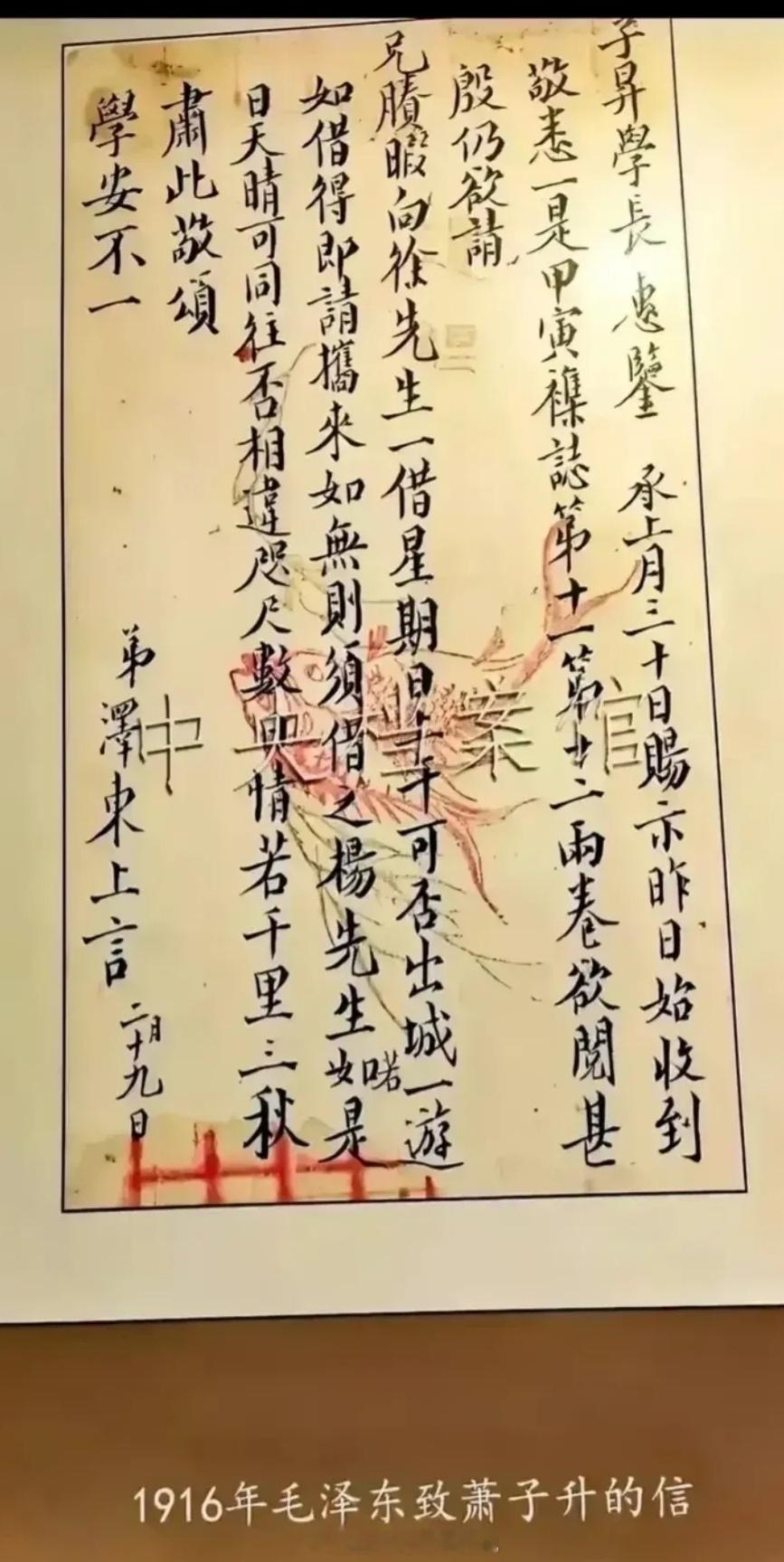 历史绝宝，有人说导师不会正笔书写，今天终于找到了。 ​​​