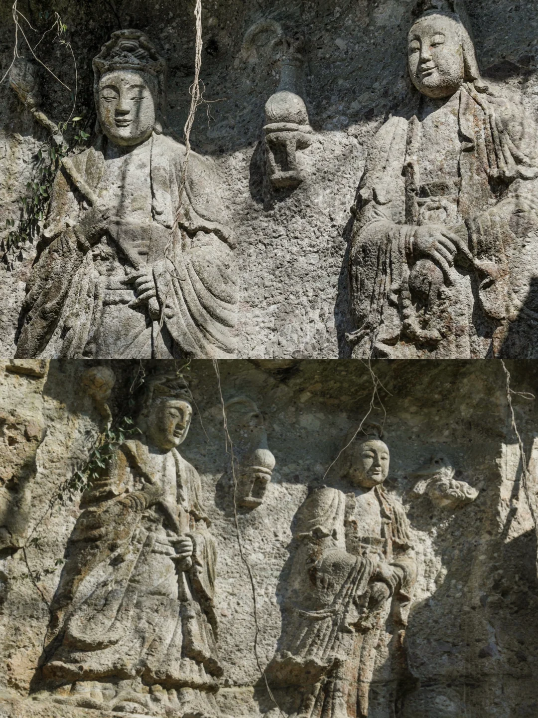 绍兴，淹没在荒草中的慈悲眼目