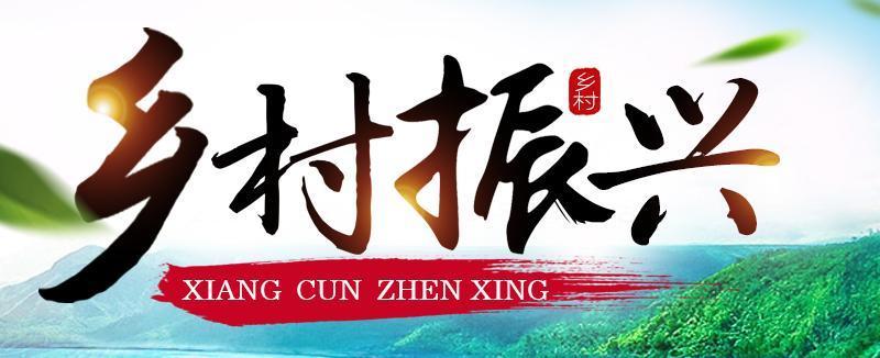 2025年乡村振兴与产业发展大会暨第四届乡村振兴论坛现场，灯火辉煌，热烈非凡。这