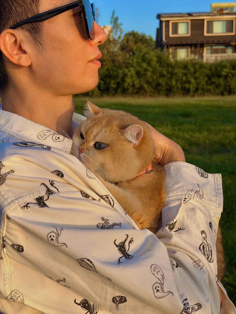 晒太阳🌞金渐层小猫 ​​​