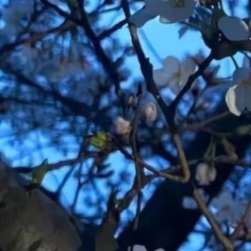 人，要有梦想，才能有前进的动力，如果没有梦想，那么你的人生就没有方向。梦想，是人