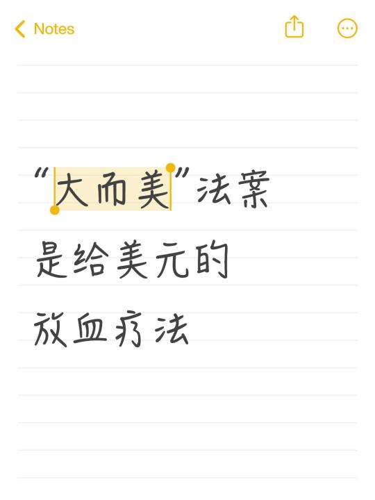 “大而美“法案是给美元的放血疗法