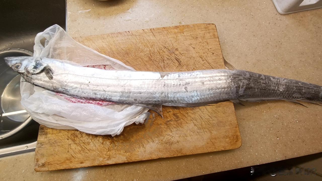 记实消费：手稍微松一松就出去了二张多。
下午要去儿子家烧菜，早上去大菜场采买，手