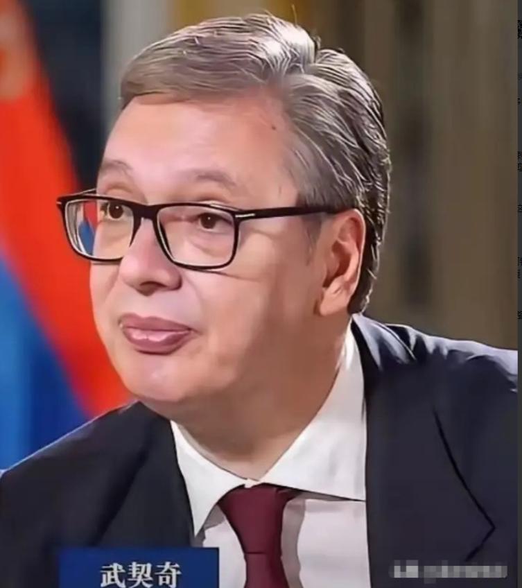 好奇查了下武契奇总统，
 
不查不知道，一查才明白，
 
他不仅是欧洲政坛的 “