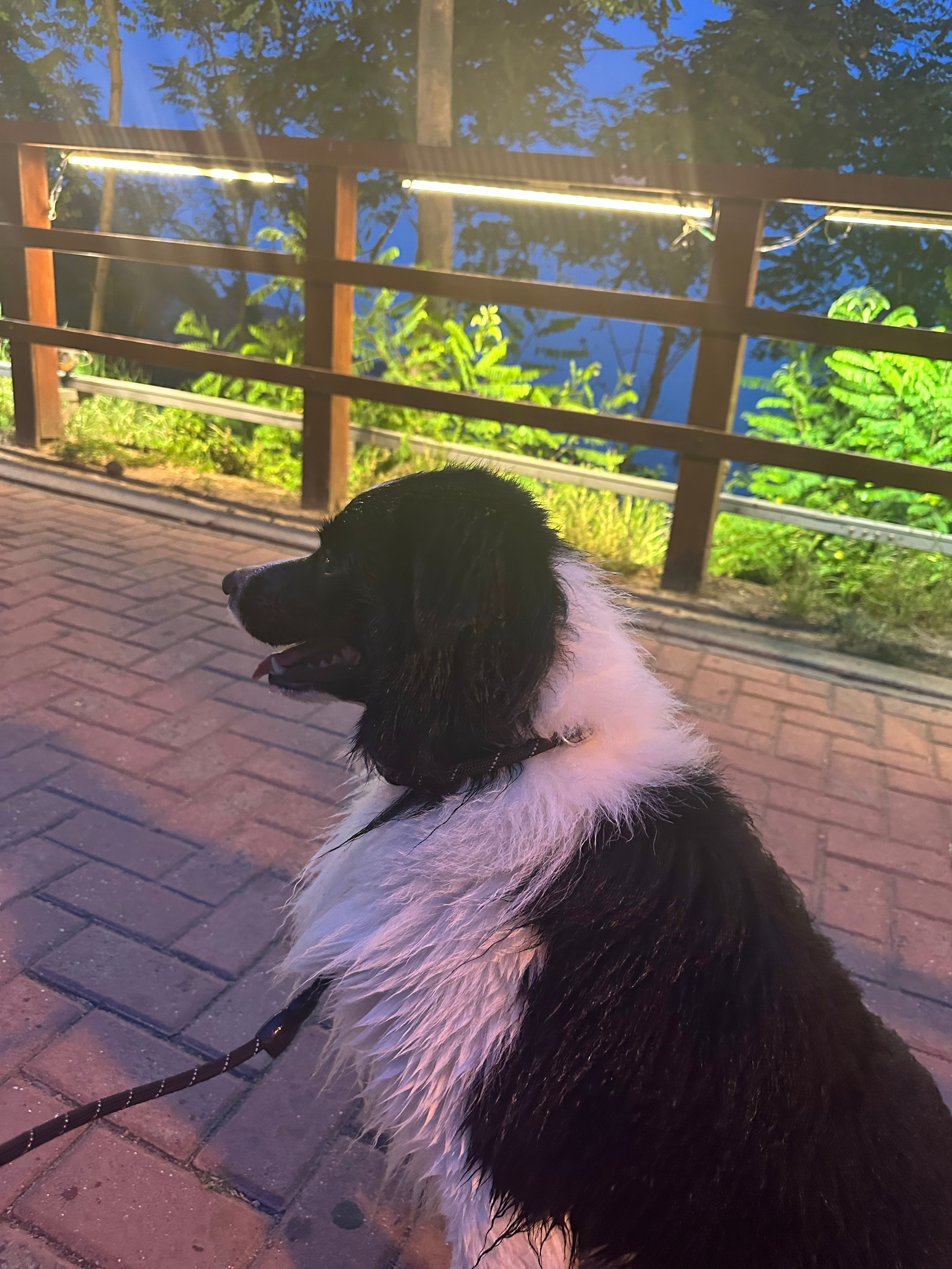 真的很喜欢00后的工作态度又上热搜了，咱就是说不是更规矩吧，就是严格按照规定（上