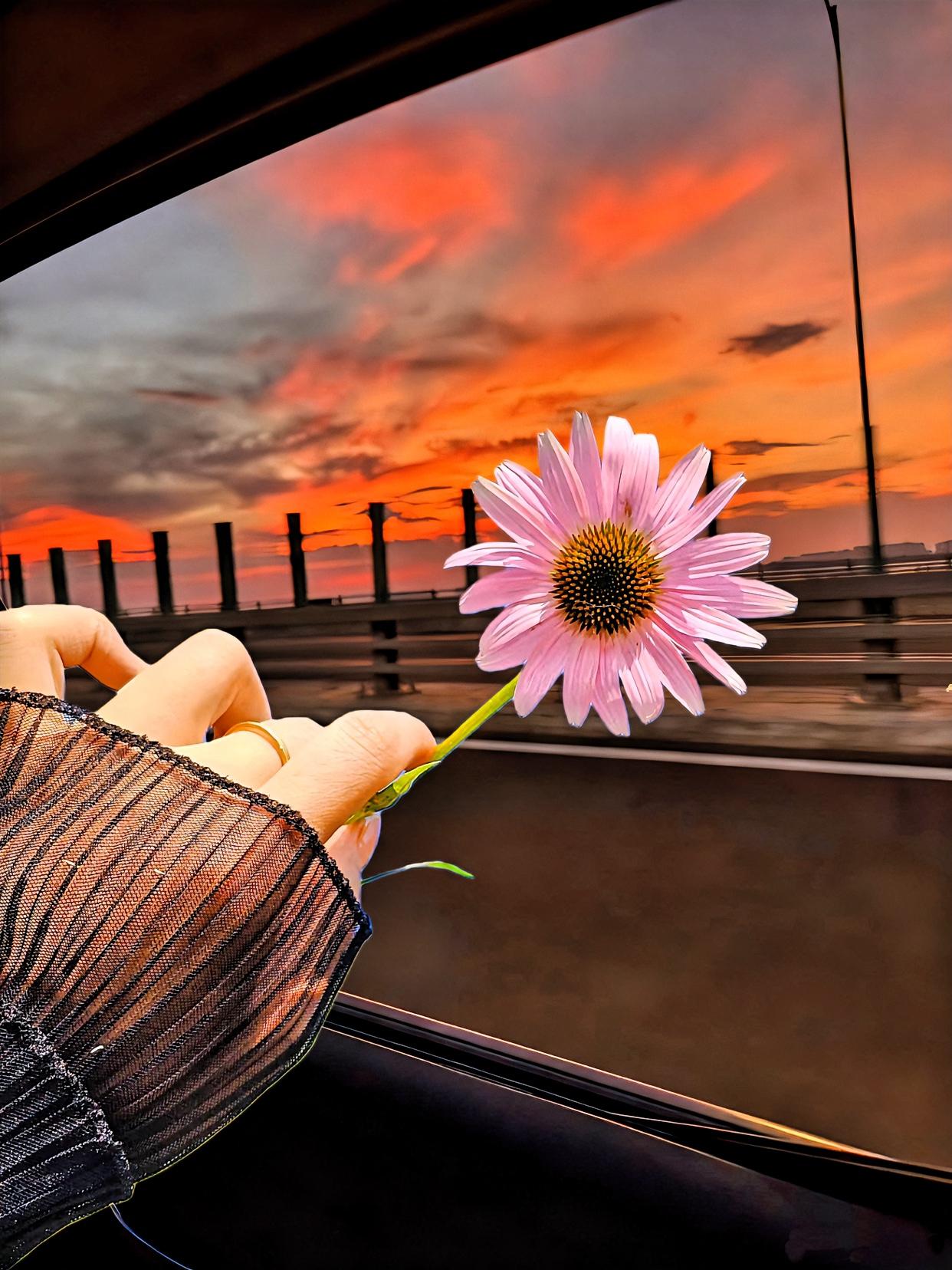 人这一辈子，​‎͏ 
能征服人心的，
从来不是小聪明，
而是厚道。

耍小聪明