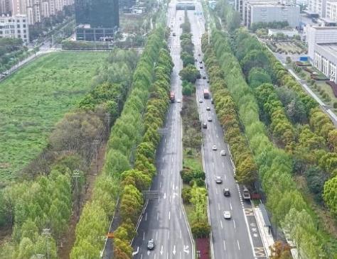 通车放行！[小鼓掌]
涉及合肥一主干道！[机智]
从高新区了解到，
习友路（科学