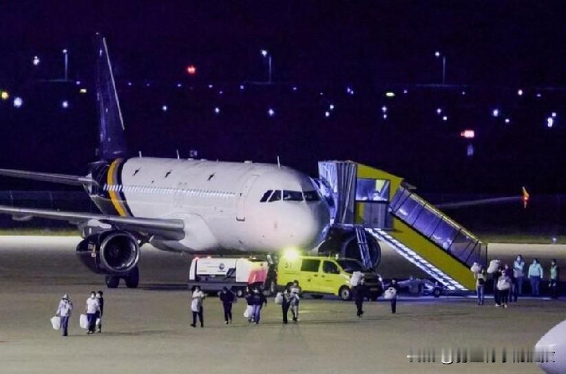载有汉坦病毒游轮乘客的飞机在荷兰降落，12人被医院隔离。
路透阿姆斯特丹5月12