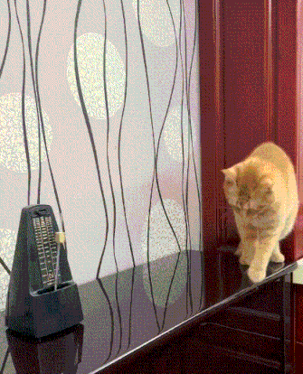 猫猫卡顿器