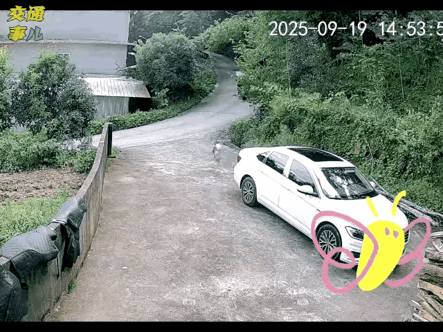 这么快是想干啥去
刹车坏了？
下个坡不知道减速