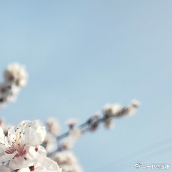 熊猫守护者 从今日起，看书，写字，弹琴，画画。给每一个日子取一个温暖的名字，做一