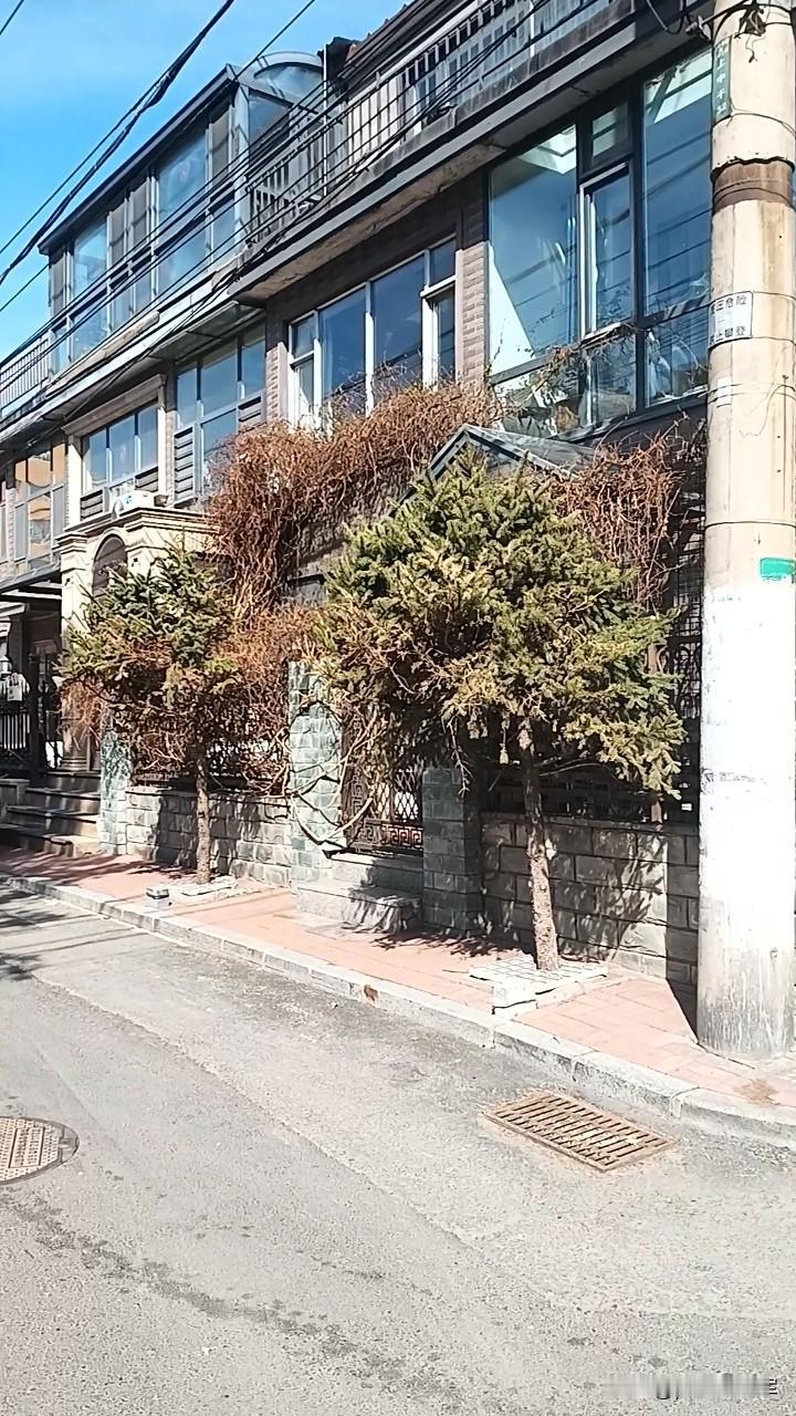 长春清明街西胡同
和老伴来医院取化验结果，结果还没有出来，就和老伴在市医院附近溜