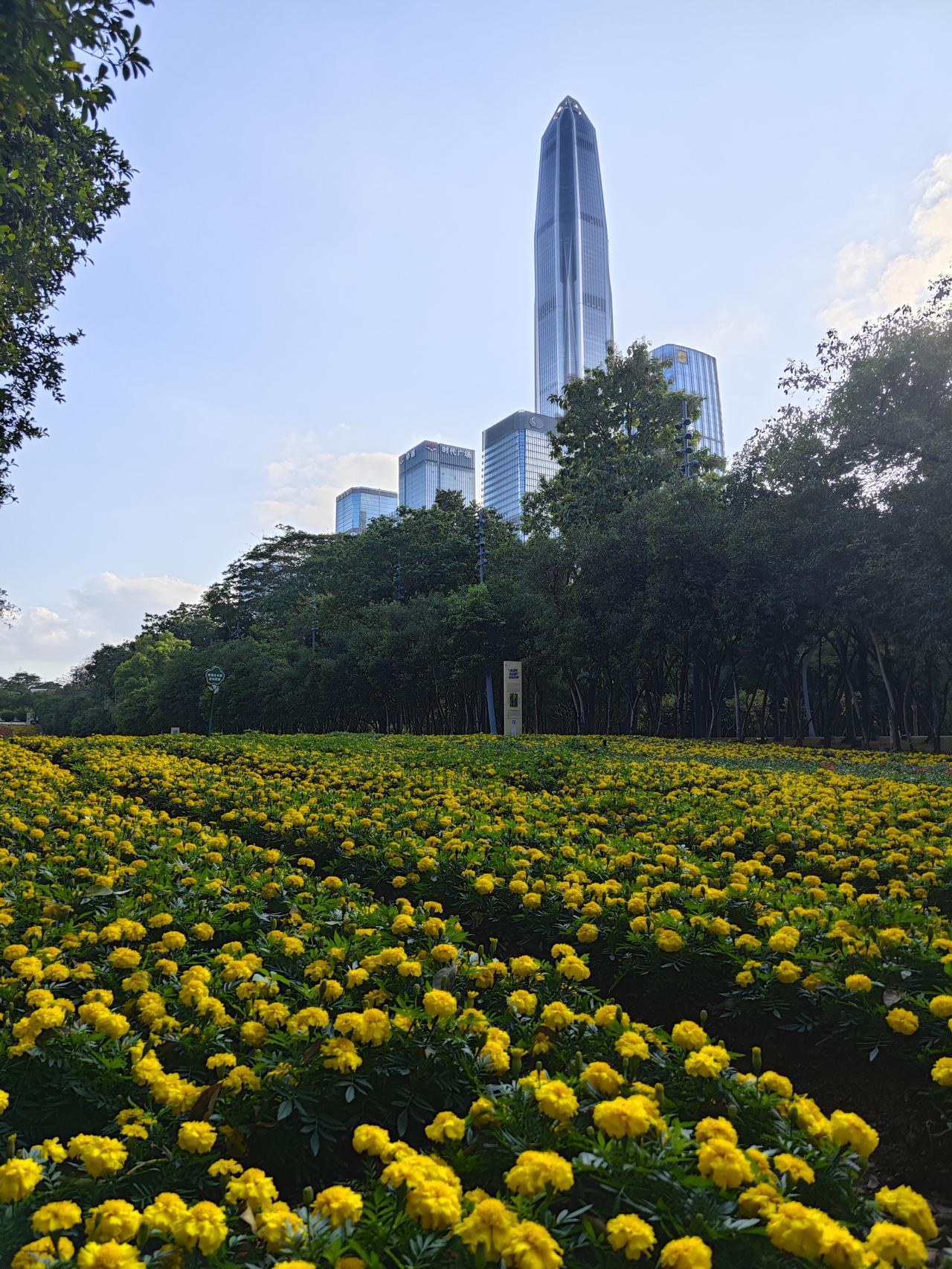 深圳哪里好玩哪里风景最美？问我就对了。[大笑]这30年来，或步行或骑行基本上走遍
