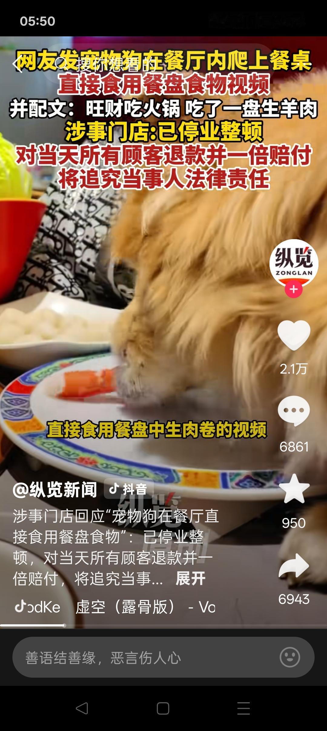 涮肉店狗舔餐盘和海底捞撒尿，二者性质同等恶劣、后果同等严重——不要把公共餐桌当成