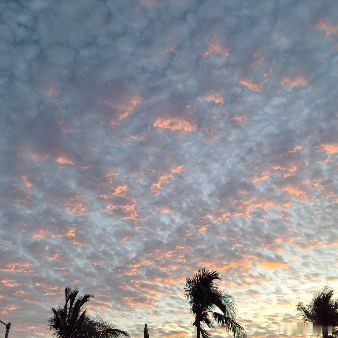 一切安好生活手记