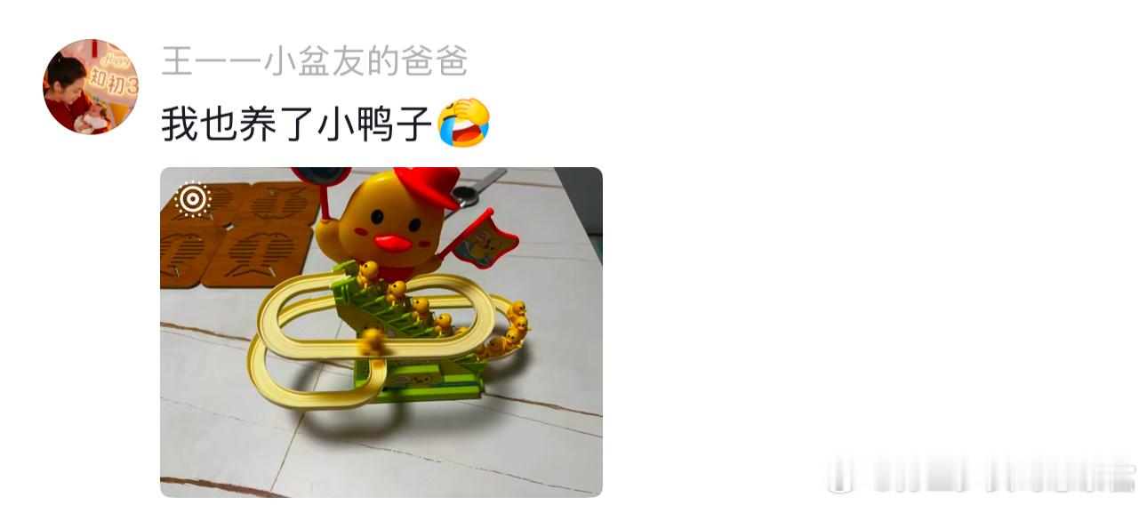 鸭:吃你家一点菜叶子真费脖子 