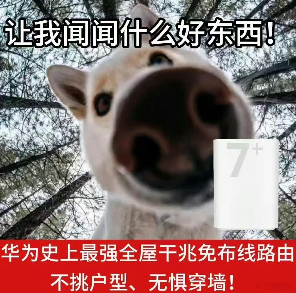 华为业界首发免布线全屋千兆路由华为太牛了！业界首发免布线全屋千兆路由，凌霄PLC