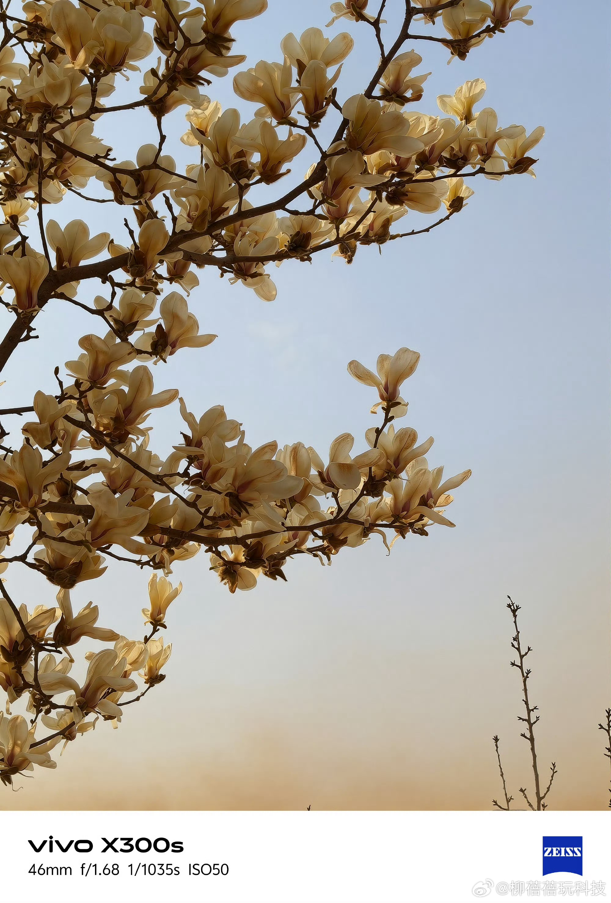 浅浅炫耀一下 抢先用上了
