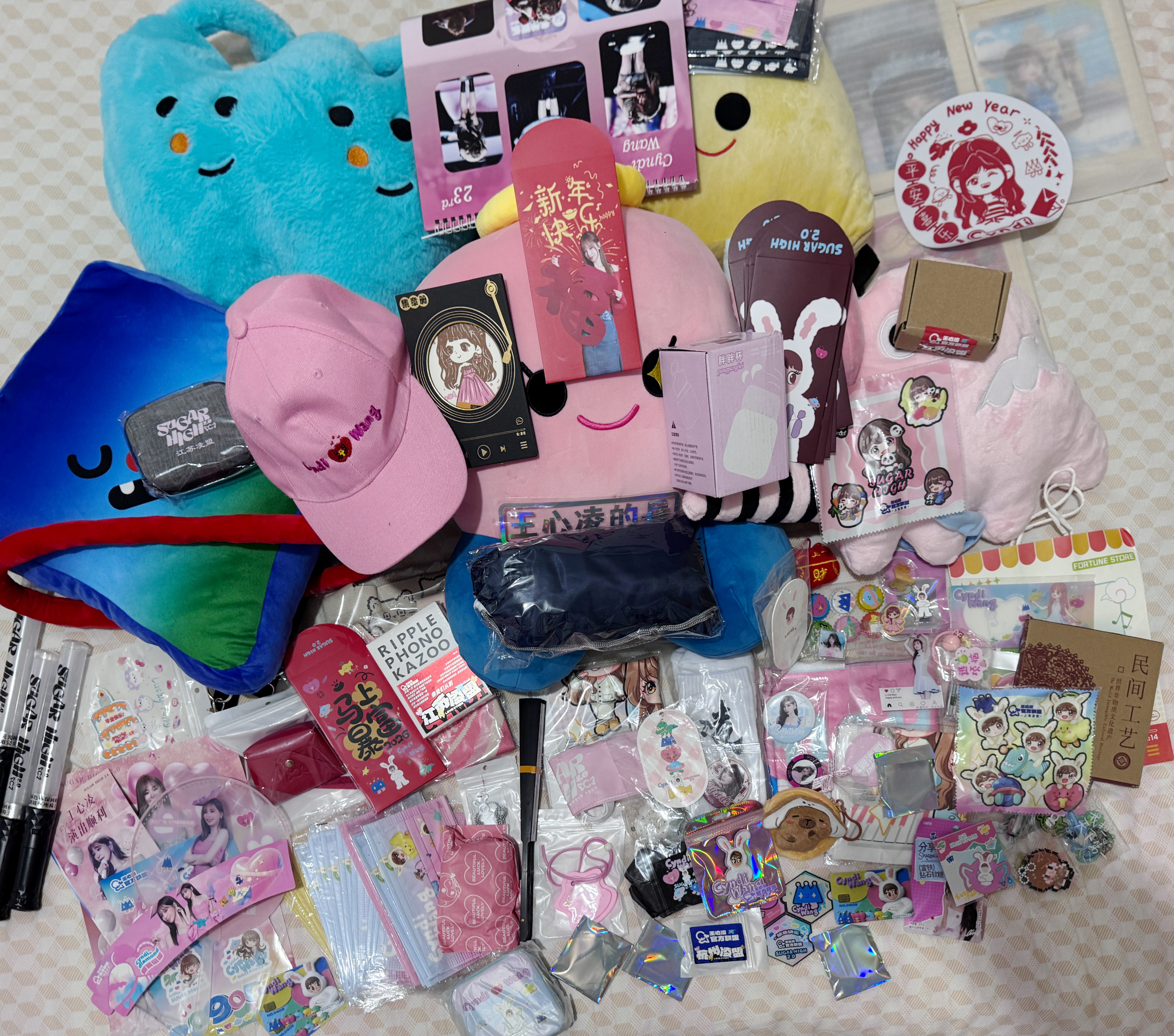 我说我们家应援物多到拿不了你们还不信感谢凌盟王心凌