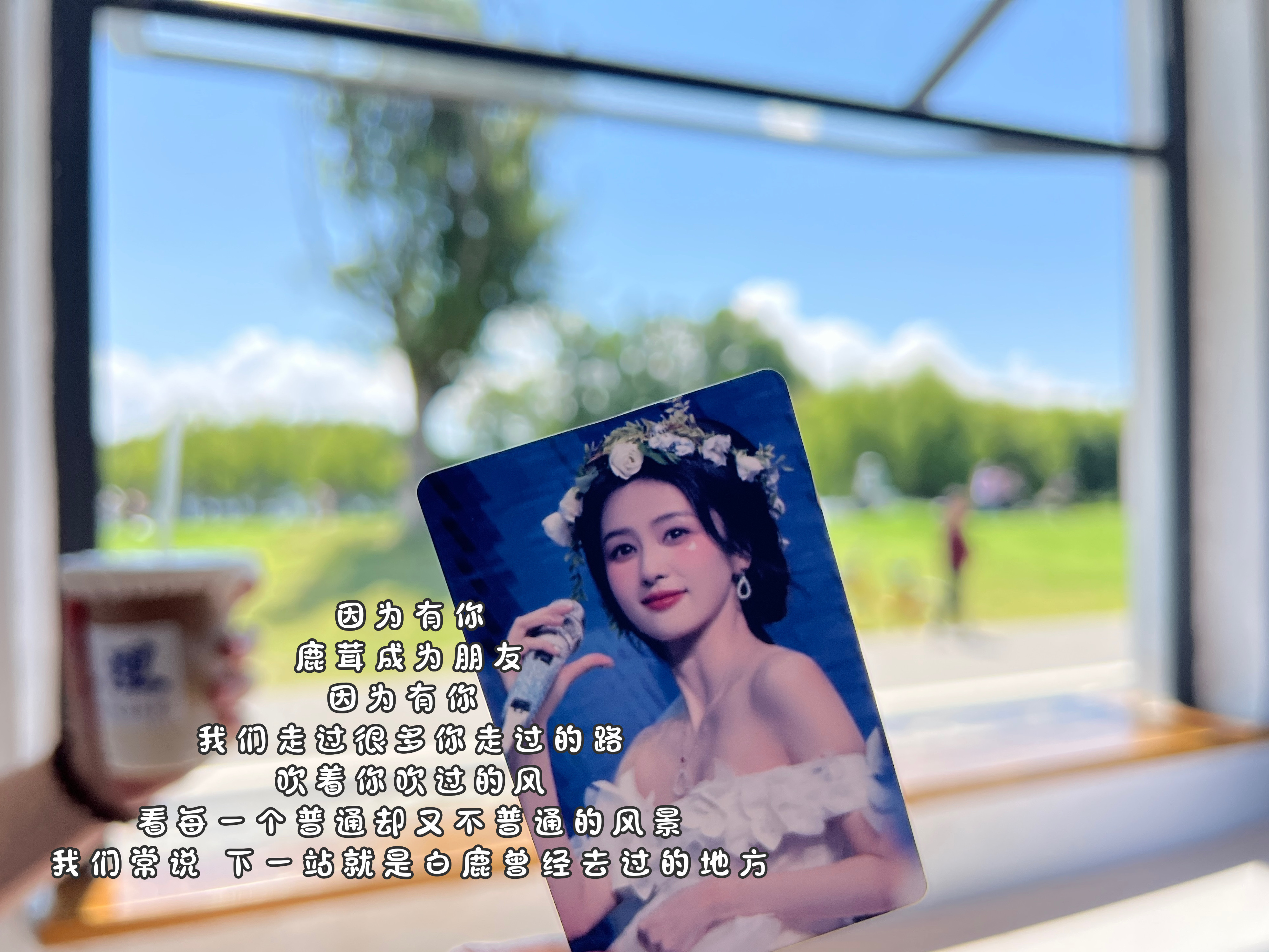 白鹿 • 白鹿十周年拾光音乐会 🍐白鹿出道十周年拾光征集 手机中太多和你有关的