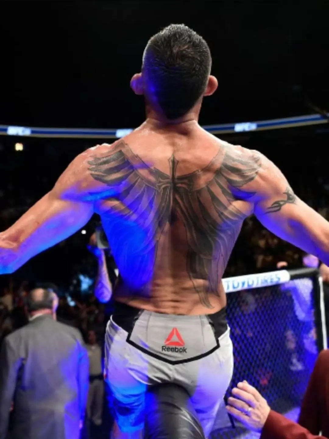 ufc 运动 托尼弗格森