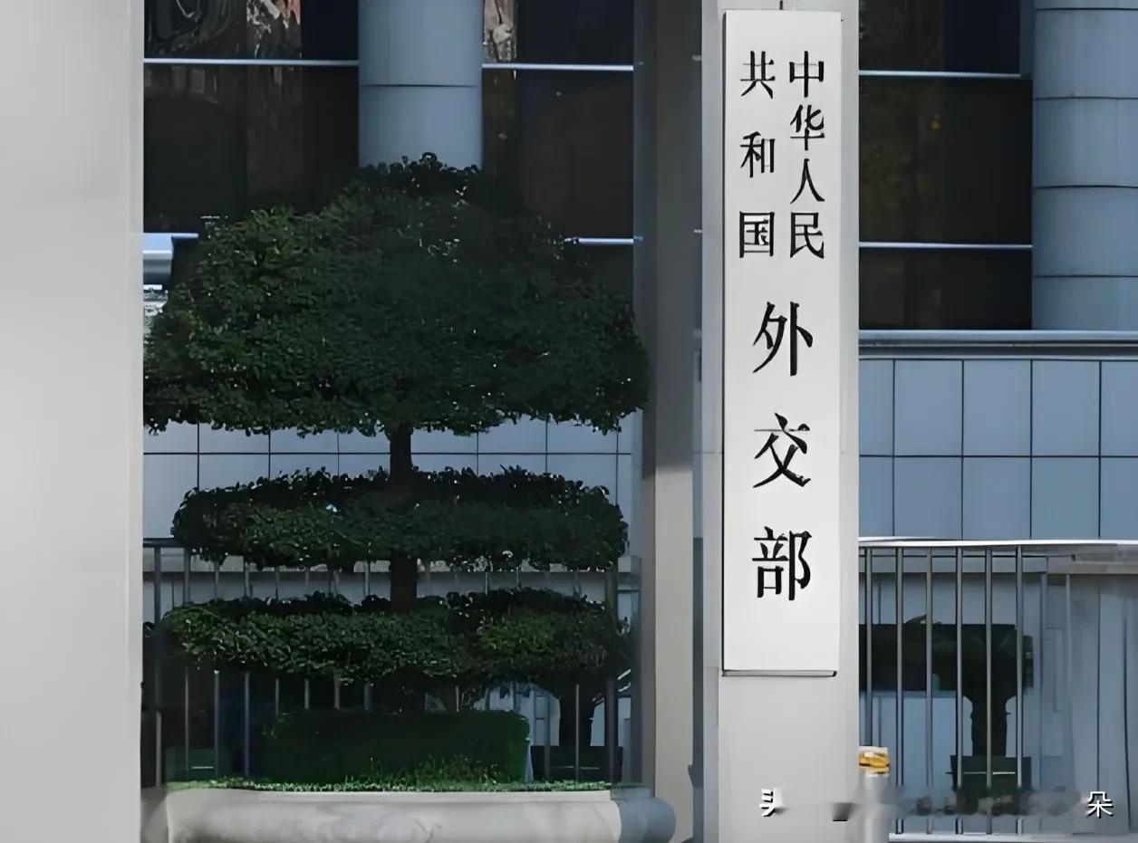 芬兰总统爆料：中国外长当面承诺“不允许俄罗斯使用核武器”，外交部回应来了

9月