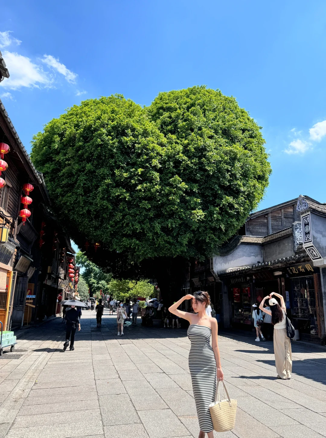 爱心树🌳