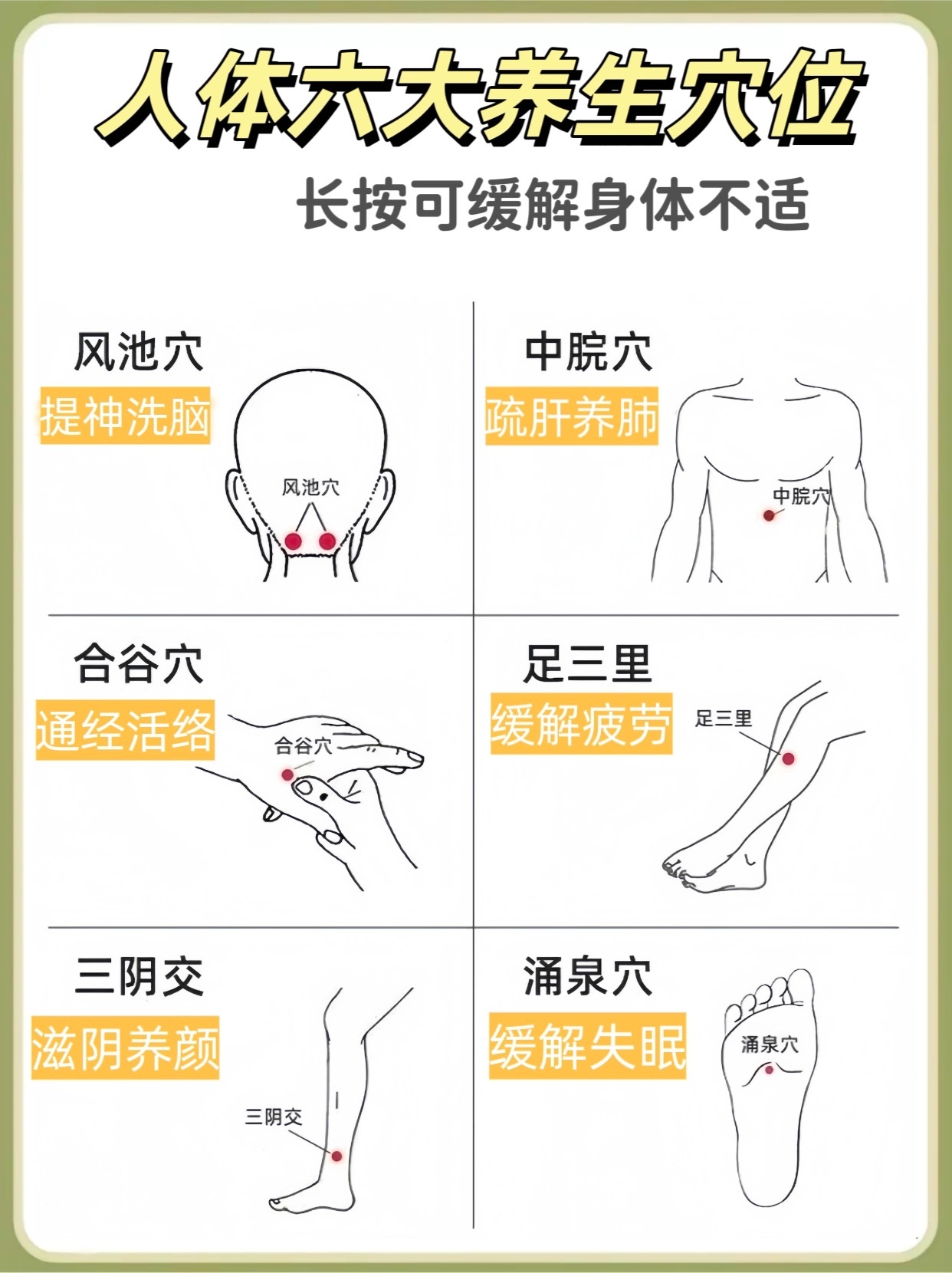 人体养生穴位🌸风池穴位置：后颈部，后头骨下，两条大筋外缘陷窝中，相当于耳垂平齐