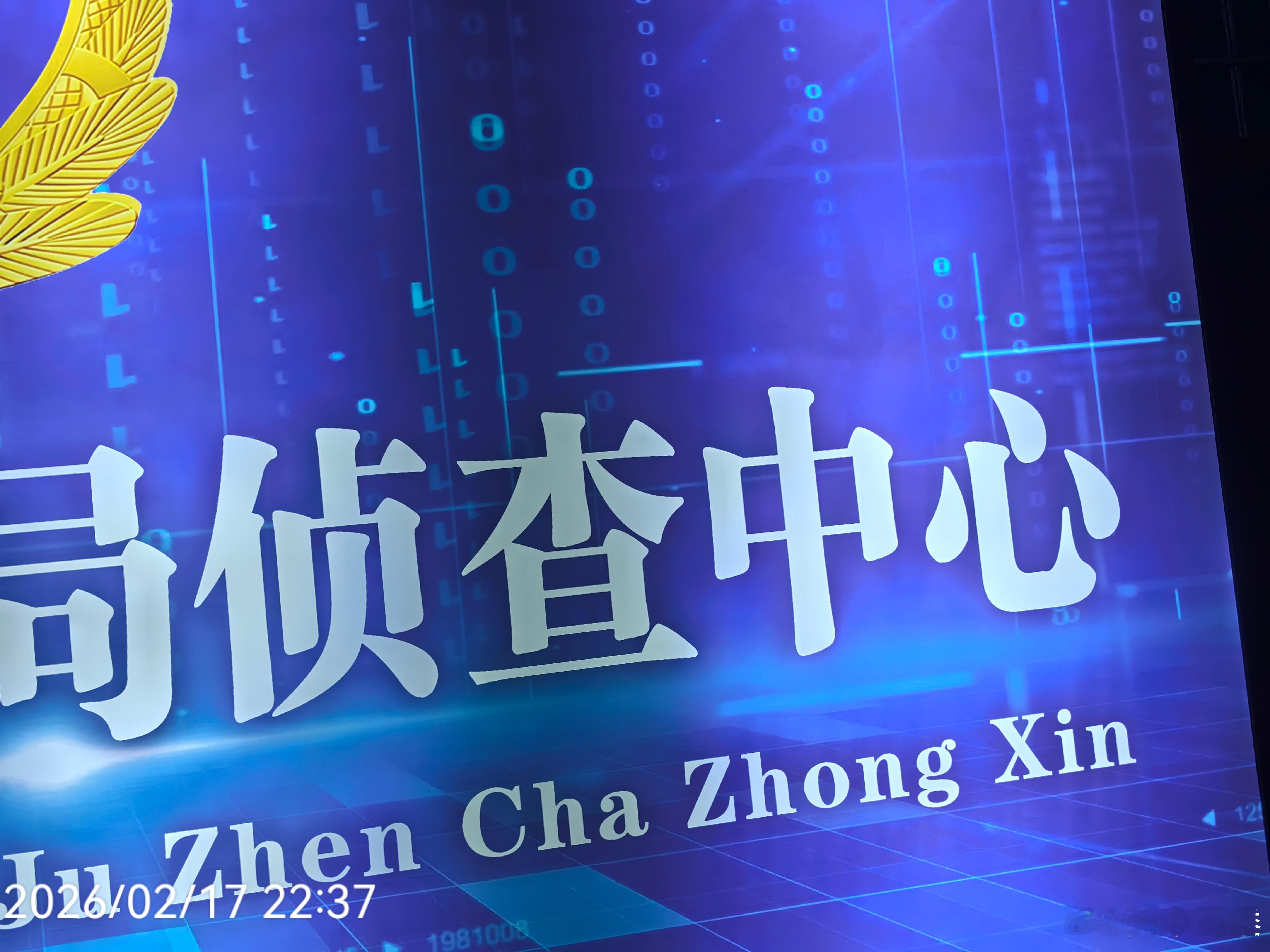 深夜树洞好像已经忙到很多天没看微博了，那好好拜个年吧——新年事事如意，马年大吉大