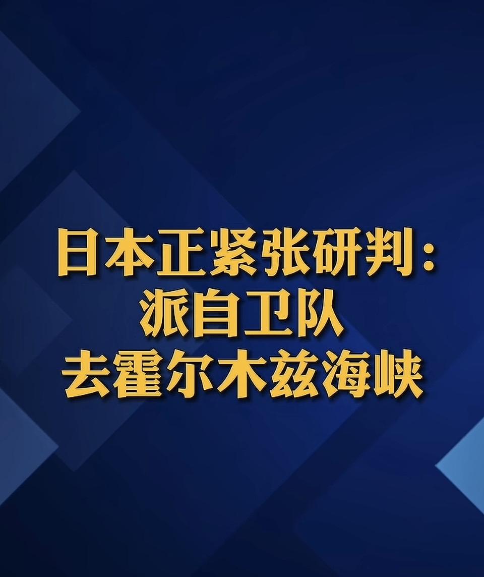 日本正紧张研判：派自卫队去霍尔木兹海峡一直以来，日本在中东地区的能源供应上高度依