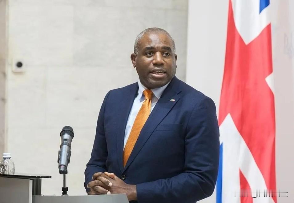 英国副首相戴维·拉米在接受采访时表示，美国总统特朗普之所以放弃在格陵兰岛问题上的