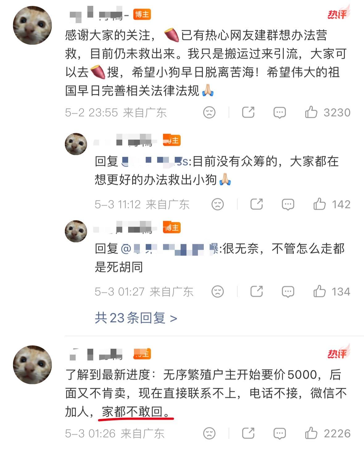 繁殖犬 抑郁“我为活在施虐者/潜在的罪犯身边感到恐慌！”不是，这不比你们切除子宫