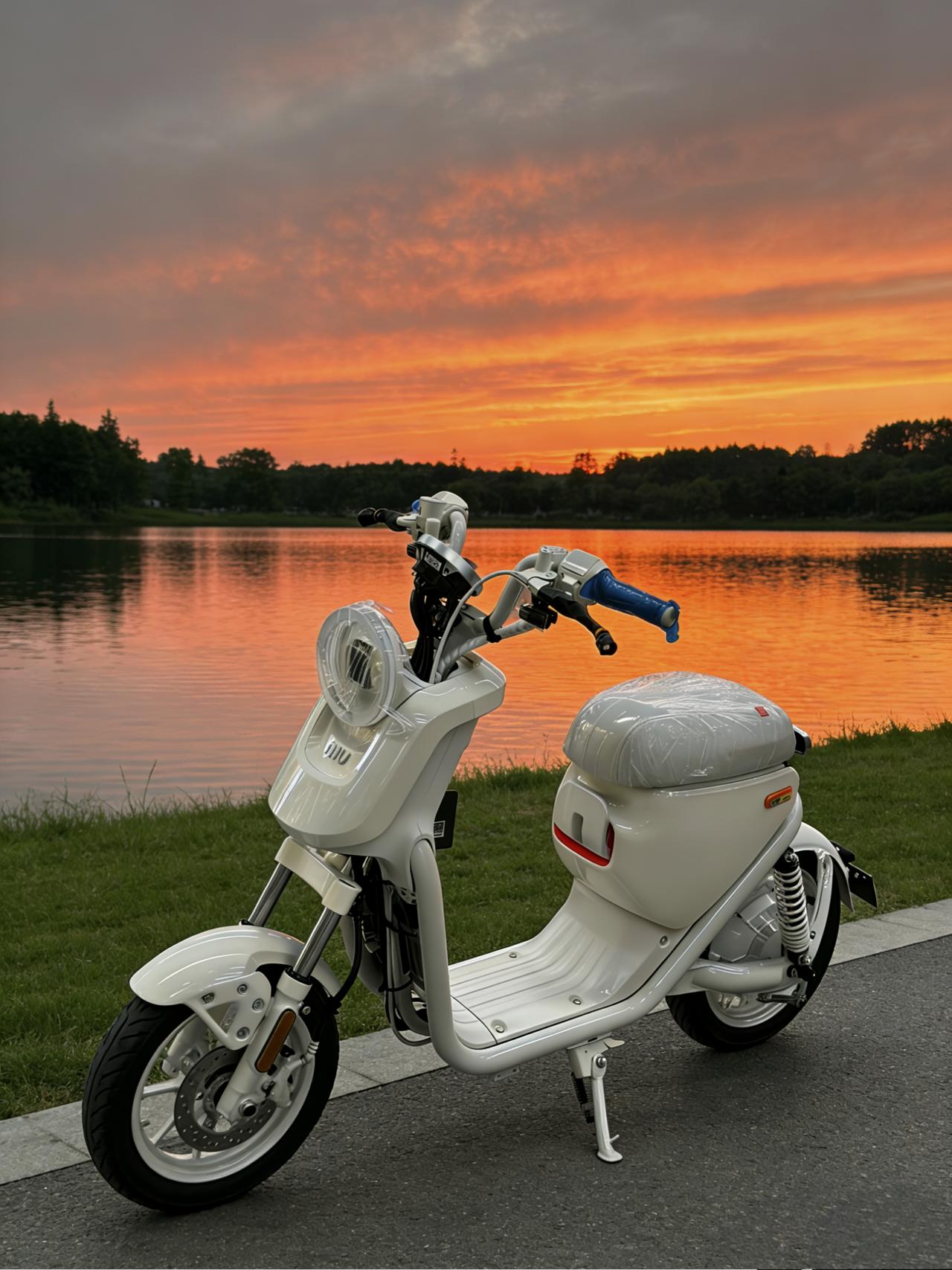 今天把家里用的东西好好整理了一下，确认没有一件是日本品牌！
电动车：雅迪。
汽车