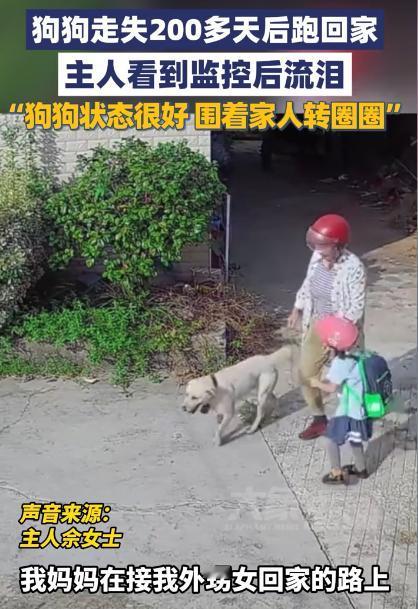 “这就是命啊！”9月15日，湖南常德，一女子接外孙女放学时，竟然在路上遇到了走丢