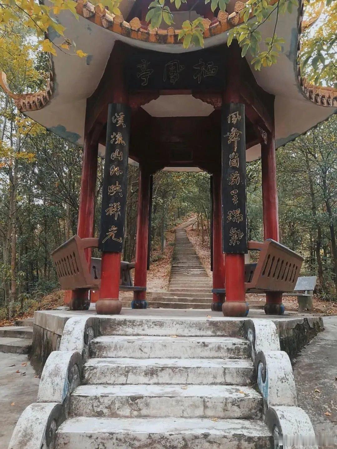 【登高远望】秋天太适合去登高了，去登凤凰山公园，沿着登山步道悠然前行，每一步都仿